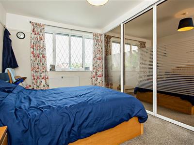 Picture 16